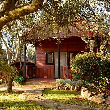 Camping Alquézar Esterno foto
