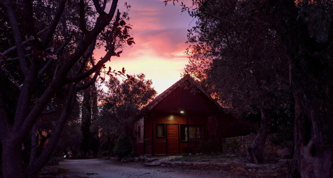 Camping Alquézar Esterno foto