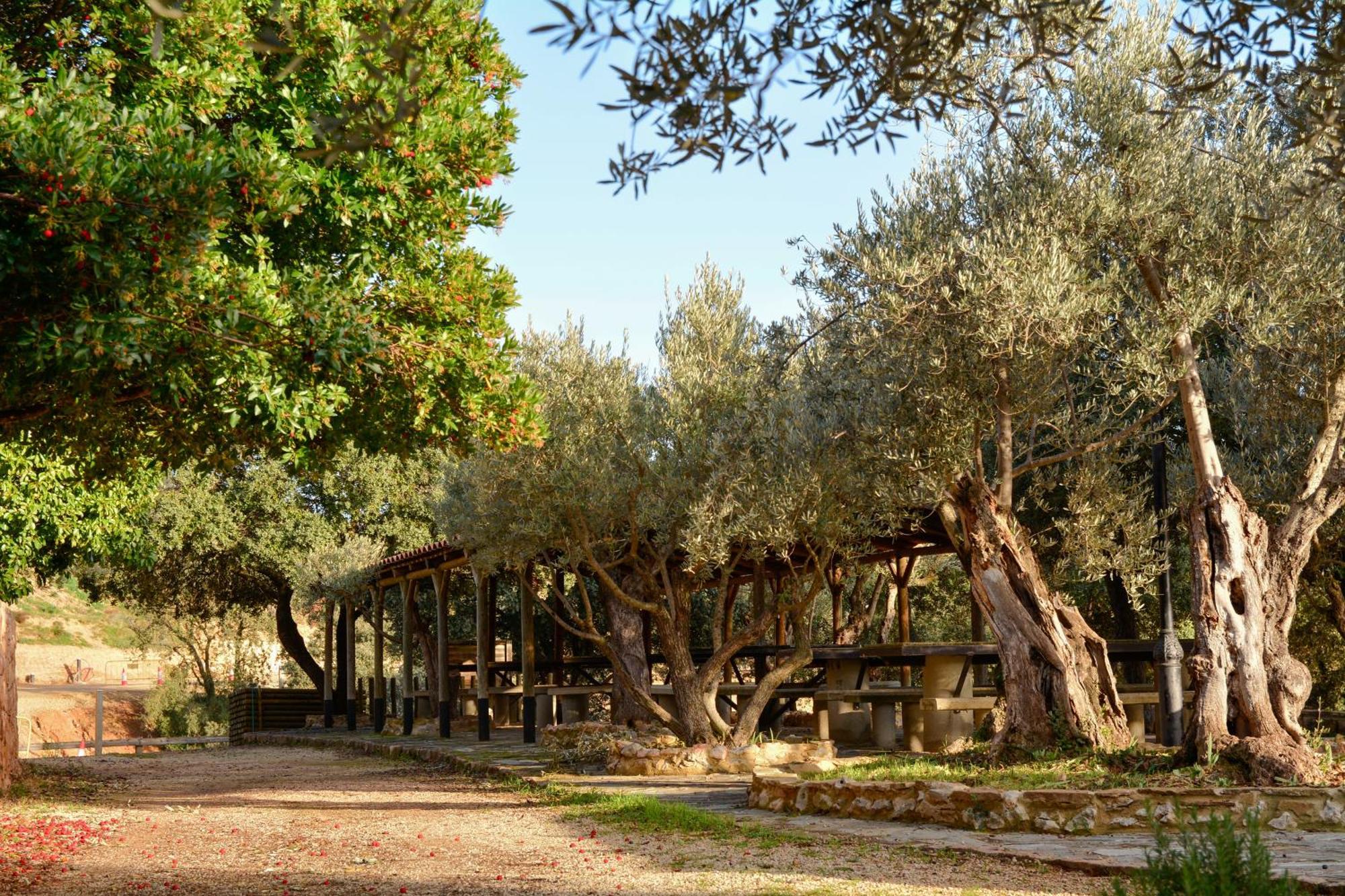 Camping Alquézar Esterno foto