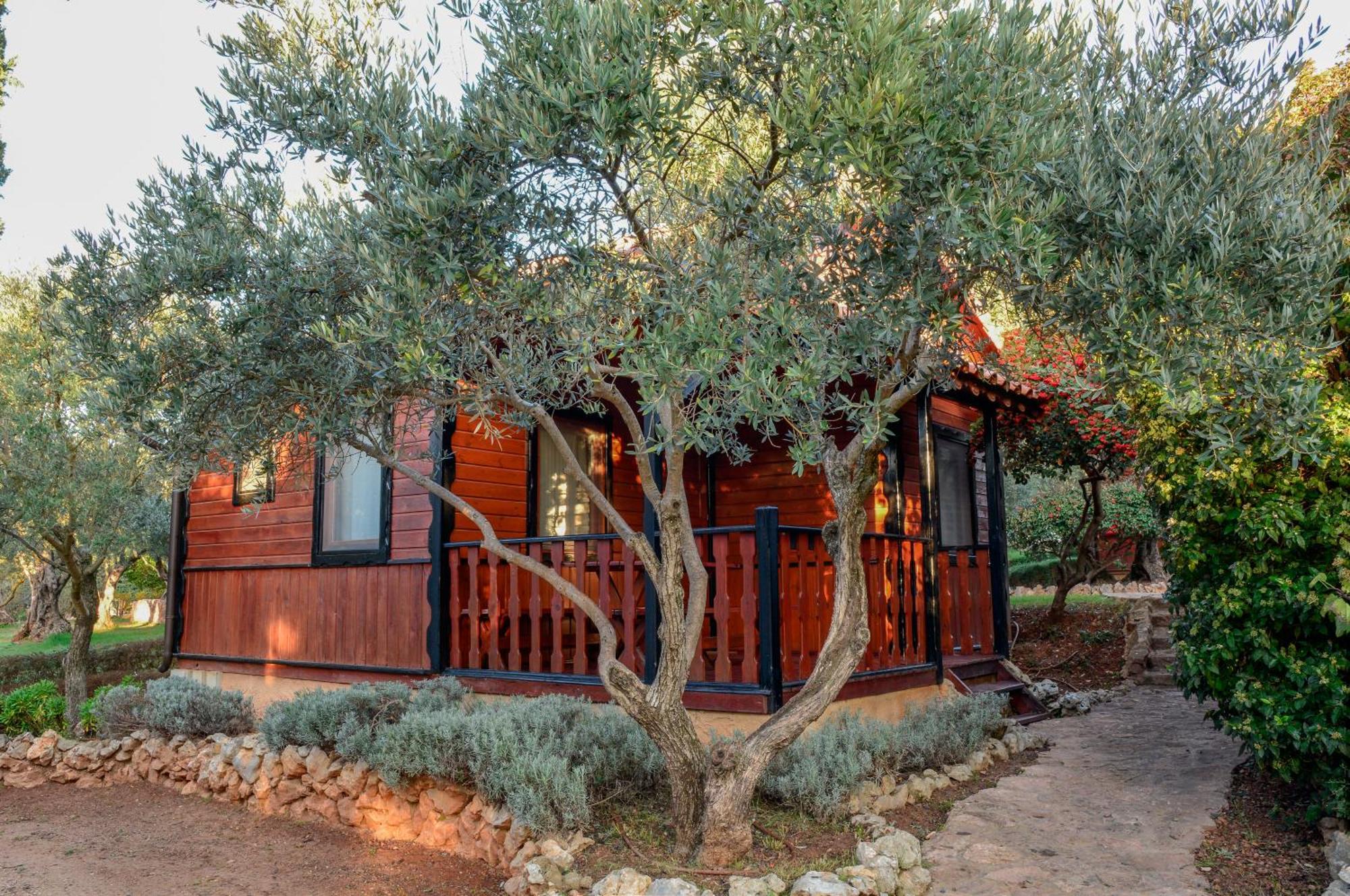 Camping Alquézar Esterno foto