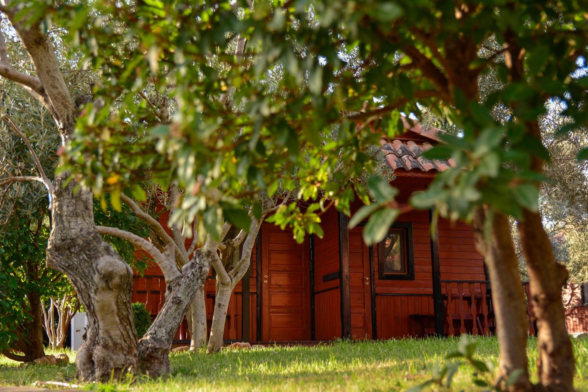 Camping Alquézar Esterno foto