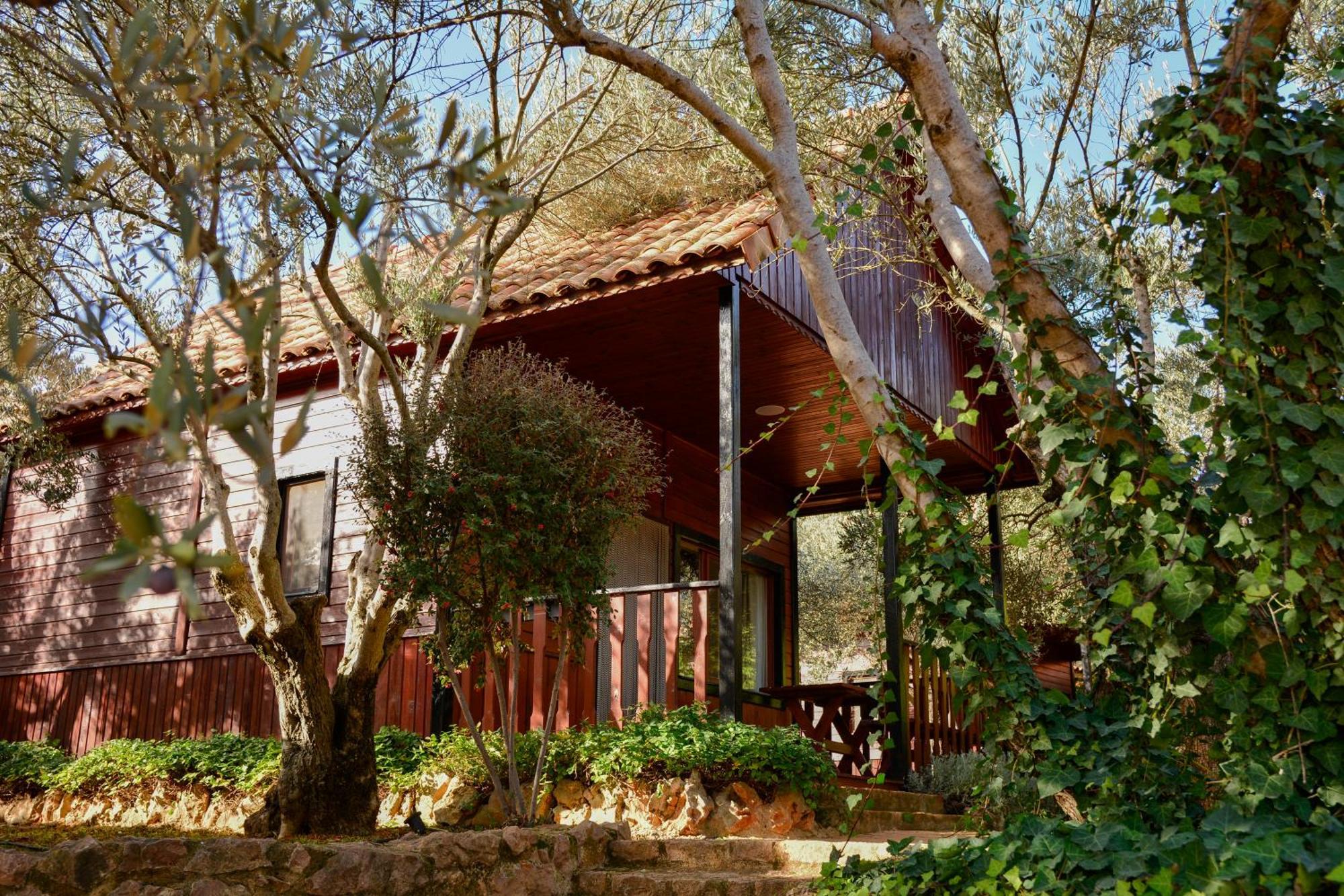 Camping Alquézar Esterno foto